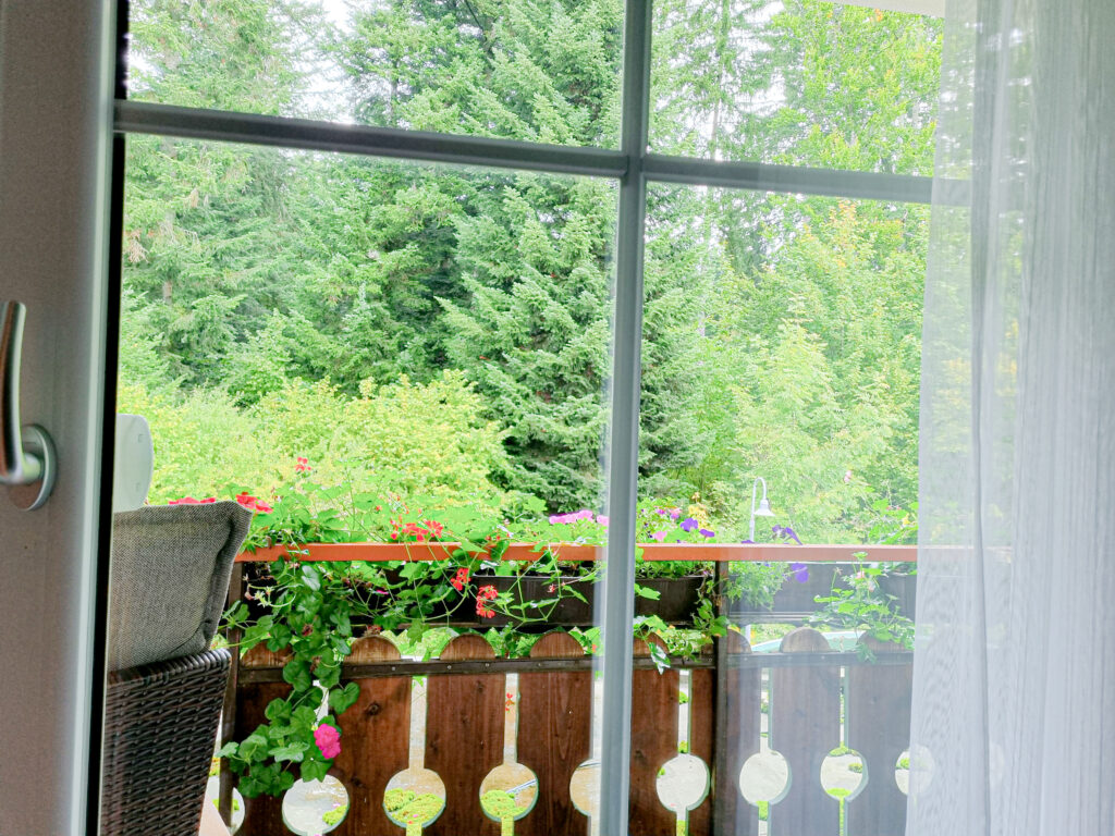 Einzelzimmer mit Balkon im Hotel Landhaus Waldesruh in Lauterbad bei Freudenstadt - Schwarzwald Aussicht und Erholung